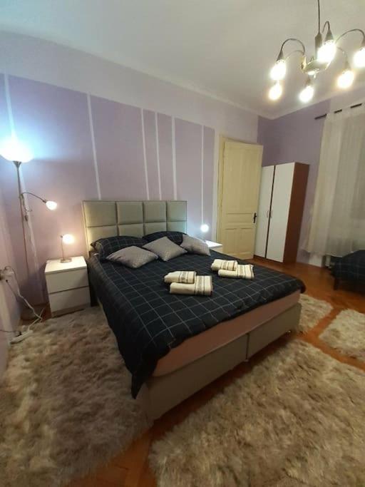 Apartman Forza Fiume Rijeka Zewnętrze zdjęcie