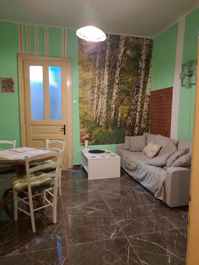 Apartman Forza Fiume Rijeka Zewnętrze zdjęcie